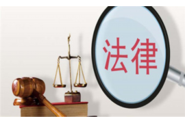 讨债的爱上债务人：情感与法律的交织