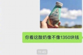 银行把债务卖给讨债公司:背后的真相与影响 银行把债务卖给讨债公司:背后的真相与影响