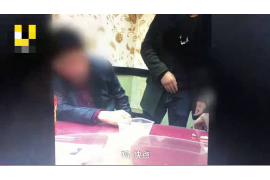 新浦催收公司:专业高效,守护金融安全 新浦催收公司:专业高效,守护金融安全