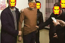 鸿联95催收效果分析:专业角度探讨催收质量与策略 鸿联95催收效果分析:专业角度探讨催收质量与策略
