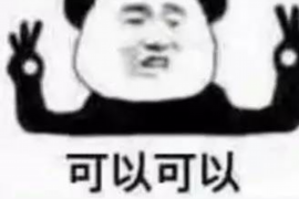催收行业新人入行：全面指南与案例分析