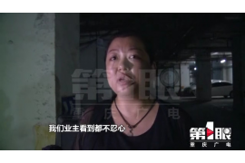 沁源清数公司联系方式 沁源清数公司联系方式