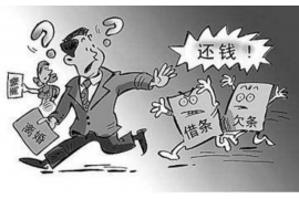 催收协调处理办公室电话:高效沟通的桥梁 催收协调处理办公室电话:高效沟通的桥梁