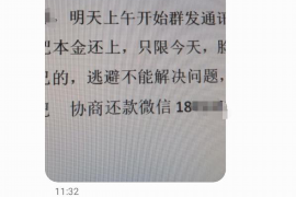 闪电虎催收协商:揭秘债务处理的艺术 闪电虎催收协商:揭秘债务处理的艺术