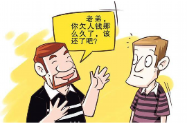 销售和催收员哪个好些？这个问题，其实就像问“苹果和橙子哪个更甜”一样，答案因人而异。今天，我们就来聊聊这个话题，看看销售和催收员哪个更适合你。