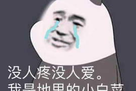 广州催收公司排名:揭秘行业翘楚,助力债务回收 广州催收公司排名:揭秘行业翘楚,助力债务回收