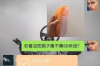 盐亭清数公司收费标准解析：透明化服务，助力企业高效运营