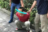 黄世仁要账的话：揭开民间借贷的真相